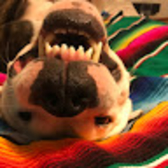 geazys